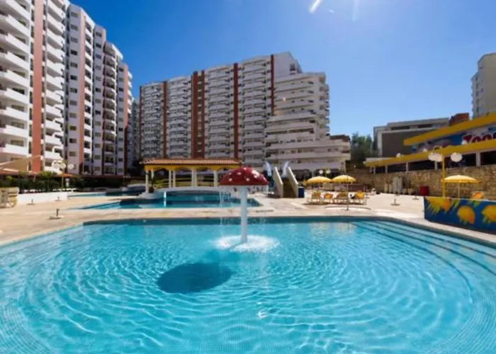 Da Rocha 3 포티마오