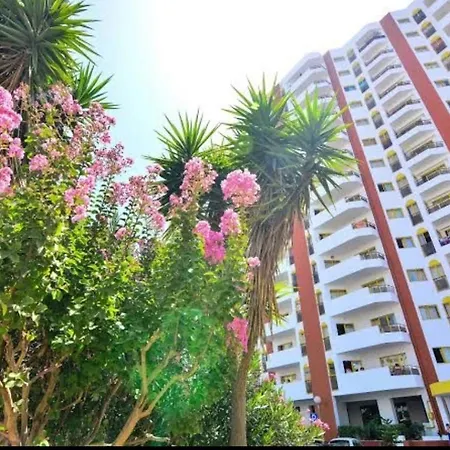 Da Rocha 3 * 波尔蒂芒