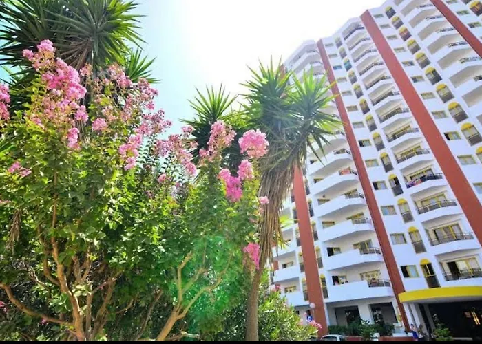 Da Rocha 3 * 波尔蒂芒